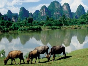 Yangshuo