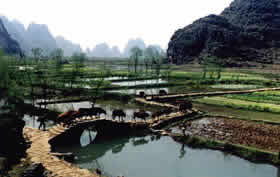 campagne de Yangshuo