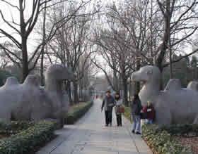 la voie sacrée de Xiaoling de Nanjing