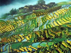 rizières en terrasse de Yuanyang