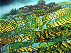 rizières en terrasse de Yuanyang du Yunnan